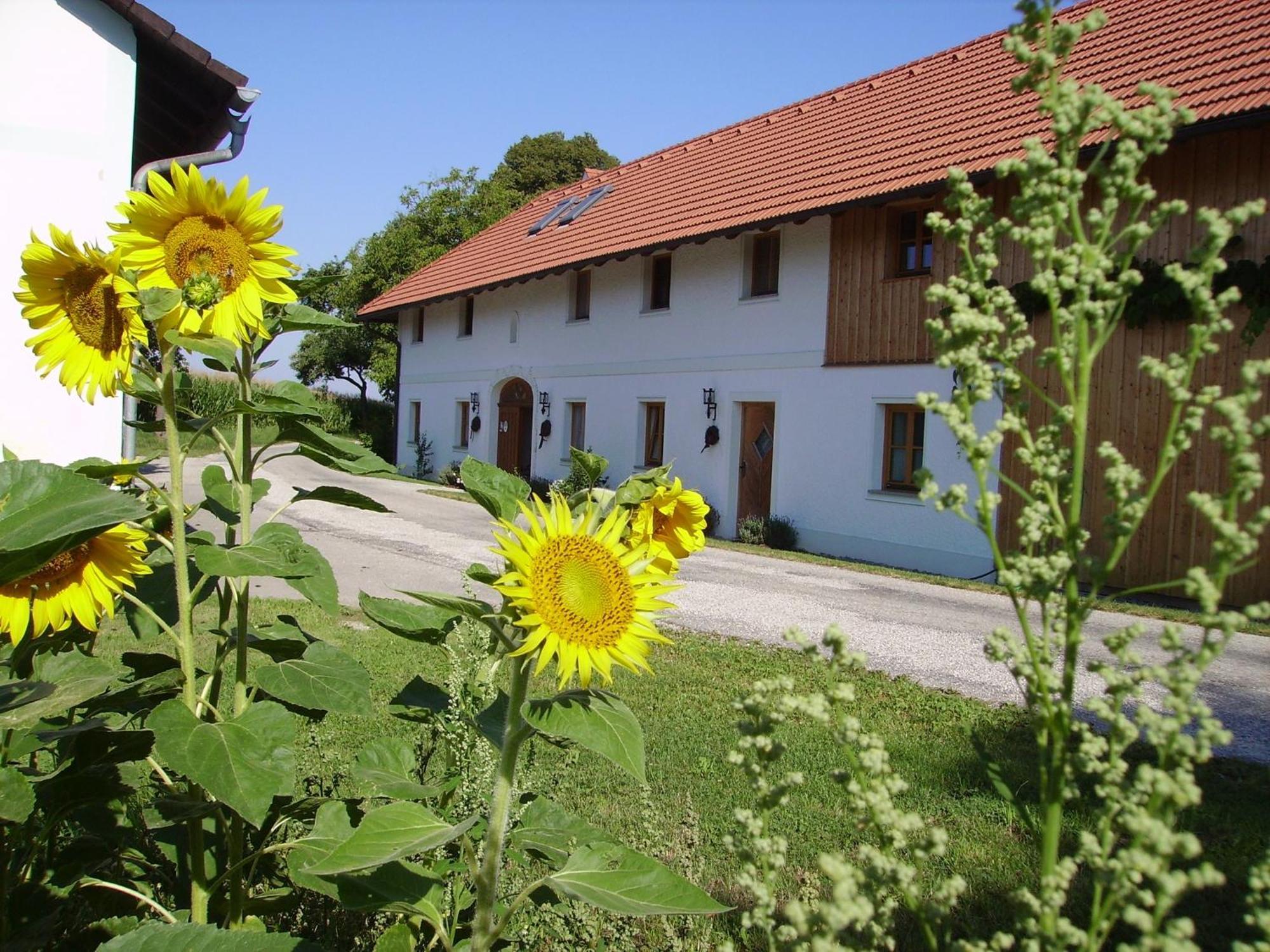 Vitalhof Roithinger กรีสเคอร์เคน ภายนอก รูปภาพ