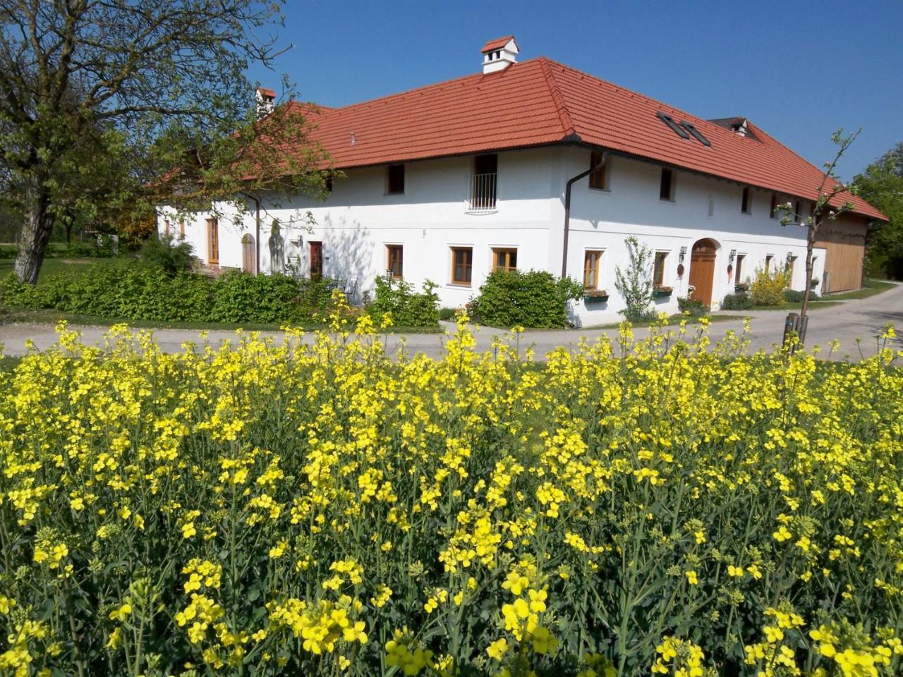 Vitalhof Roithinger กรีสเคอร์เคน ภายนอก รูปภาพ